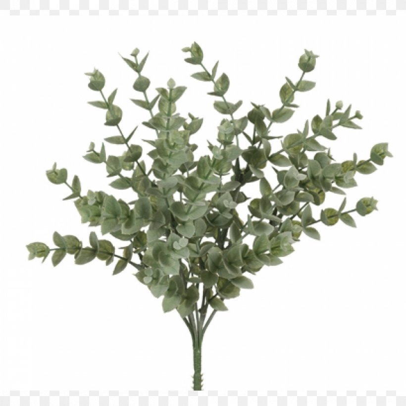 Branch Tree Twig Plant Stem Leaf, PNG, 1000x1000px, Branch, Flowerpot, Leaf, Lilac, Plant Download Free