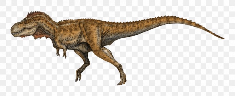 Ceratosaurus Tyrannosaurus Carnotaurus Deinonychus Giganotosaurus, PNG, 900x368px, Ceratosaurus, Acrocanthosaurus, Allosaurus, Animal Figure, Art Download Free