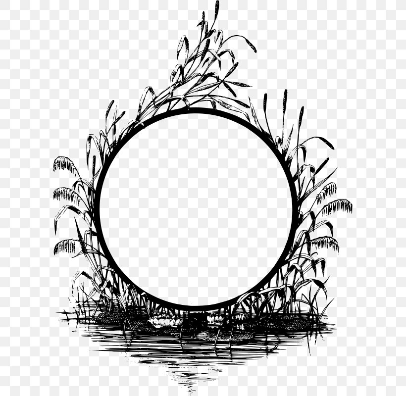 Picture Frames Drawing Clip Art, PNG, 608x800px, Picture Frames, Black And White, Branch, Decorative Arts, Drawing Download Free