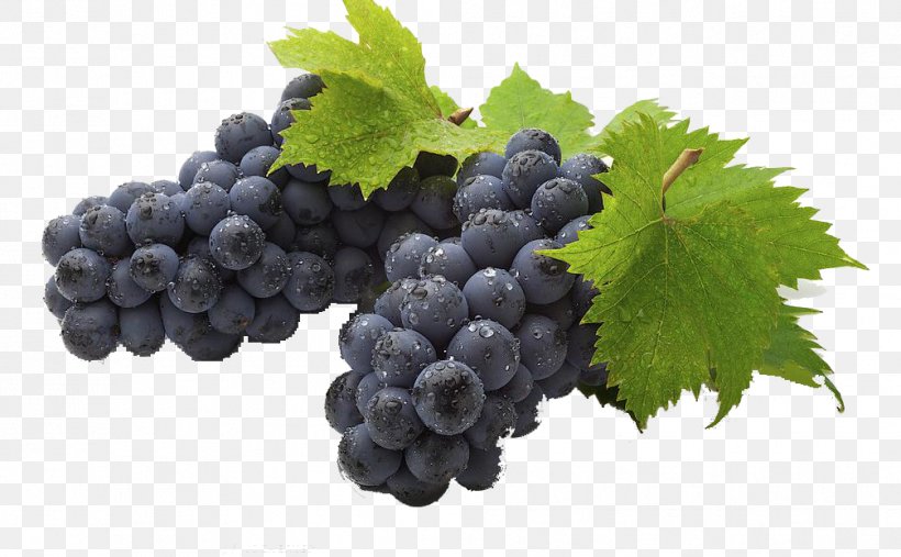 Wine Common Grape Vine Grape Seed Extract Grape Seed Oil, PNG, 1006x623px, Wine, Berry, Bilberry, Blueberry, Common Grape Vine Download Free