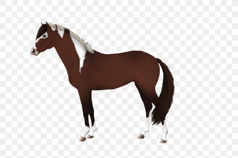 Mane Stallion Mustang Mare Colt, PNG, 1200x800px, Mane, Bridle, Colt, Computer, Fictional Character Download Free