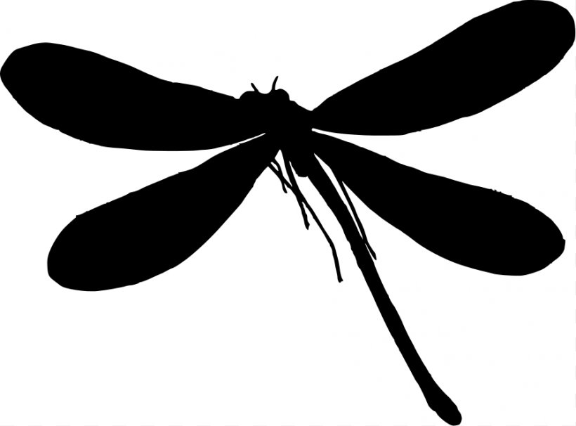 Silhouette Dragonfly Clip Art, PNG, 897x663px, Silhouette, Arthropod, Black, Black And White, Dragonflies And Damseflies Download Free