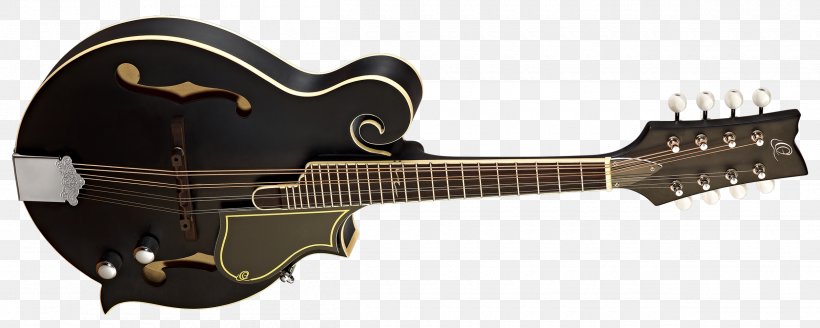 Acoustic-electric Guitar Cavaquinho Mandolin Bridge, PNG, 2500x1000px, Electric Guitar, Acoustic Electric Guitar, Acoustic Guitar, Acousticelectric Guitar, Bass Guitar Download Free