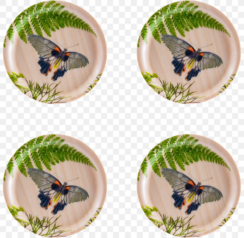 Birch Coasters Dill Tray Insect, PNG, 800x800px, Birch, Beak, Coasters, Dill, Dishware Download Free