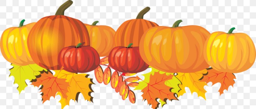 Clip Art Field Pumpkin Openclipart Free Content, PNG, 1024x440px, Pumpkin, Autumn, Blog, Calabaza, Cucurbita Download Free