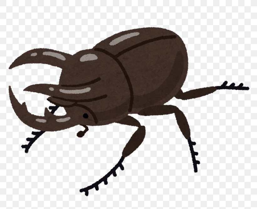 Scarabs Japanese Rhinoceros Beetle Chalcosoma Caucasus Hercules Beetle Japanese Idol, PNG, 800x666px, Scarabs, Arthropod, Beetle, Chalcosoma Caucasus, Dung Beetle Download Free