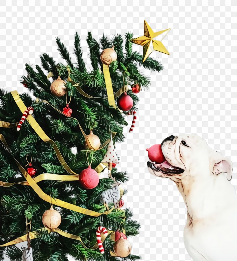 Christmas Tree Drawing, PNG, 1904x2100px, Cute Dog, Animal, Canidae, Carnivore, Christmas Download Free