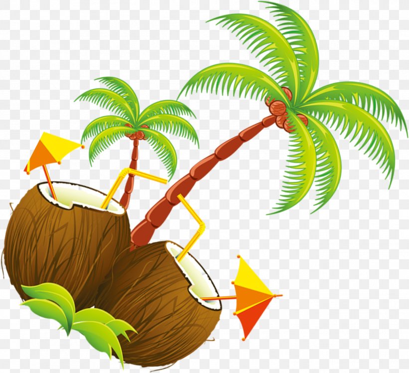 Coconut Tree Cartoon, PNG, 1316x1201px, Coconut, Animation, Arecales,  Attalea Speciosa, Cartoon Download Free