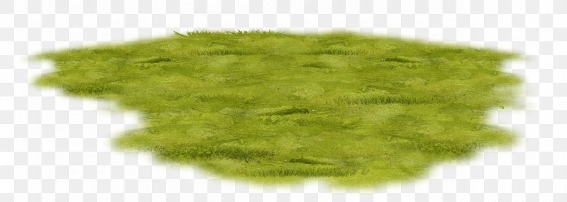 Grass Minsk Clip Art, PNG, 1280x458px, Grass, Grass Family, Green, Herbaceous Plant, Minsk Download Free