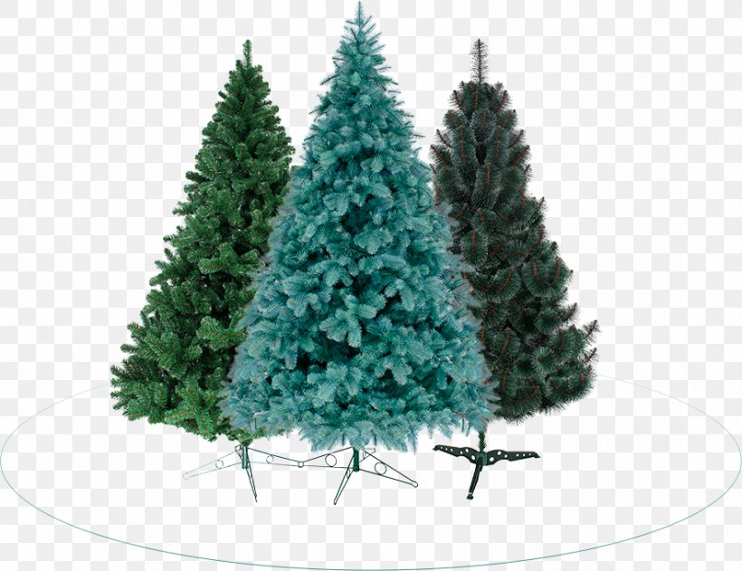 Spruce Christmas Ornament Christmas Tree Pine, PNG, 884x681px, Spruce, Biome, Christmas, Christmas Decoration, Christmas Ornament Download Free
