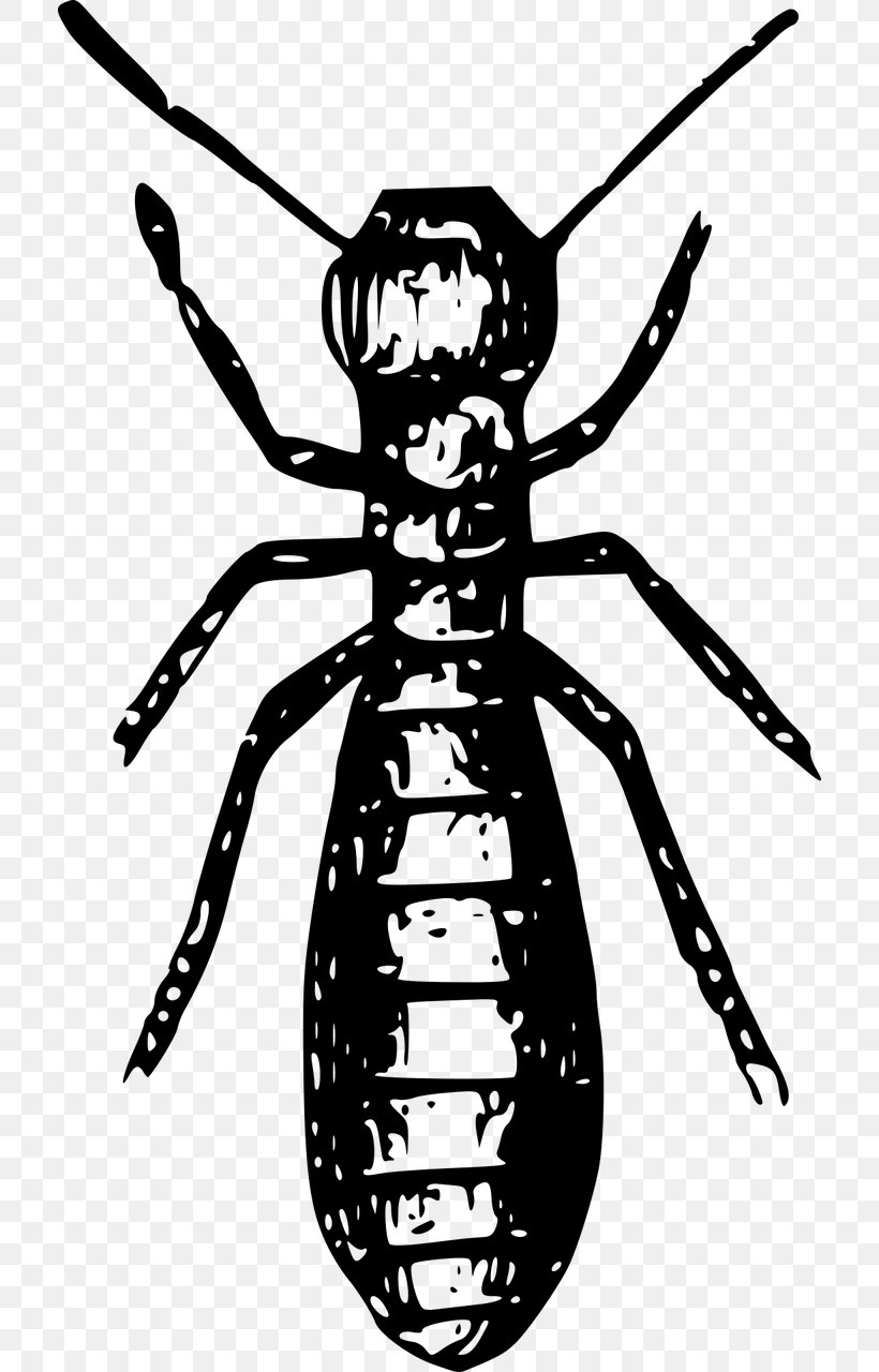 Termite Insect Ant Pest Control, PNG, 712x1280px, Termite, Ant, Arthropod, Artwork, Black And White Download Free