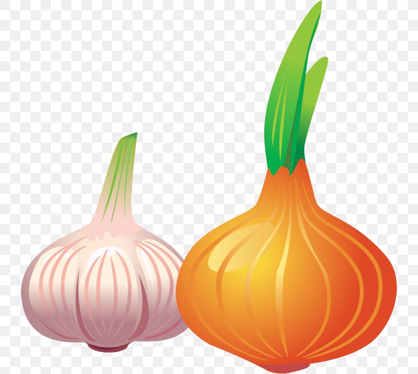 Garlic Vegetable Stir Frying, PNG, 738x734px, Garlic, Allium Fistulosum, Calabaza, Condiment, Cucurbita Download Free