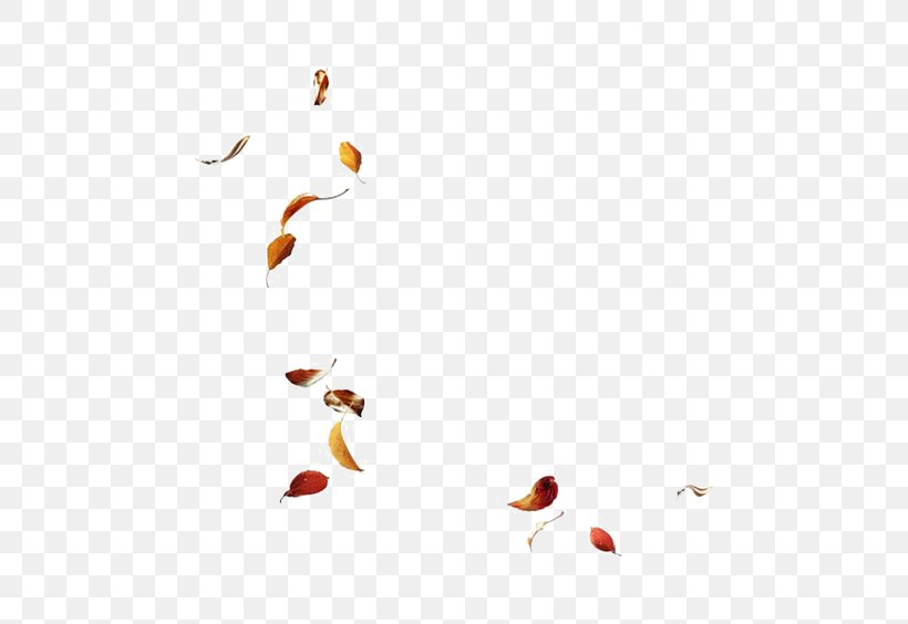 Leaf Autumn, PNG, 564x564px, Leaf, Albom, Autumn, Autumn Leaf Color, Beak Download Free