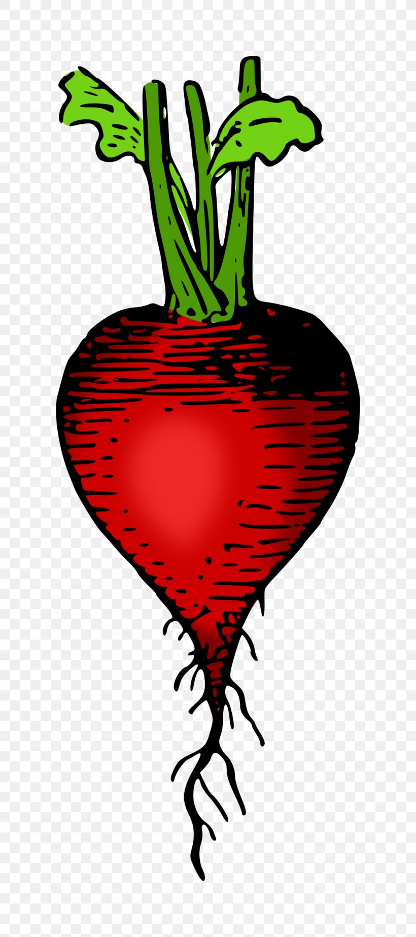 Vegetable Food Radish Clip Art, PNG, 1066x2400px, Watercolor, Cartoon, Flower, Frame, Heart Download Free