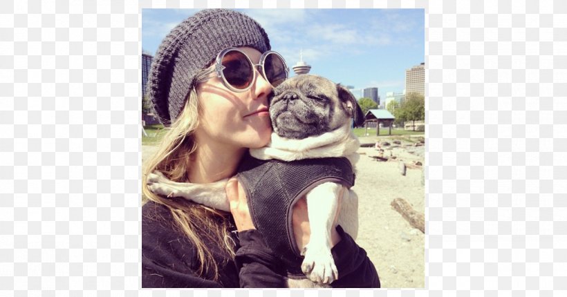 Dog Breed Felicity Smoak Oliver Queen Pug Arrow, PNG, 1200x630px, Dog Breed, Agents Of Shield, Arrow Season 4, Chloe Bennet, Colton Haynes Download Free