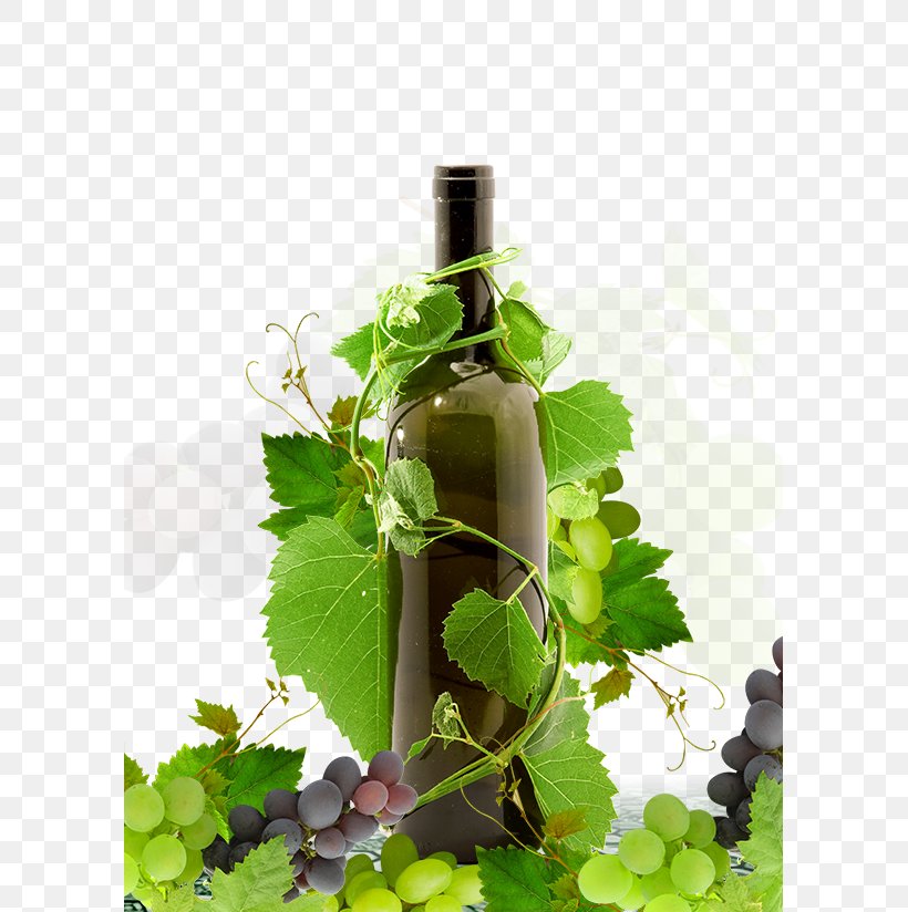 Red Wine Grape, PNG, 595x824px, Red Wine, Advertising, Alcoholic Drink, Bottle, Champagne Download Free