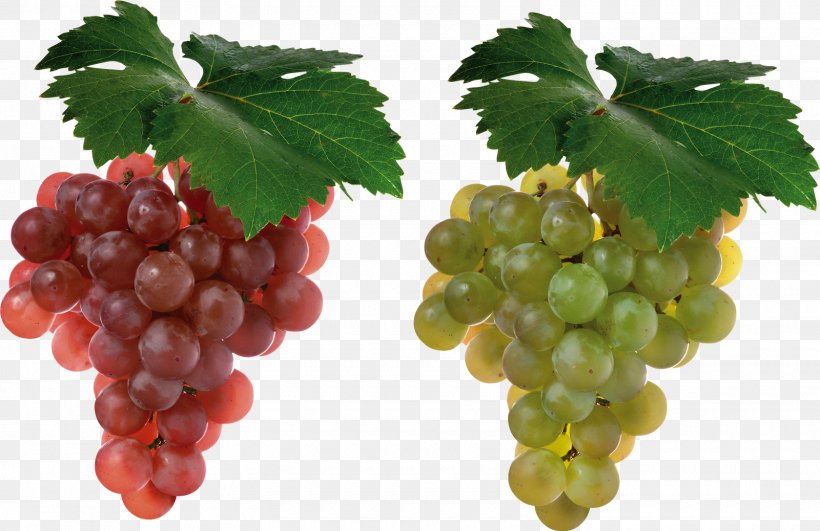 Cabernet Sauvignon Grape Juice Shiraz Fruit, PNG, 1600x1038px, Cabernet Sauvignon, Berry, Common Grape Vine, Food, Fruit Download Free