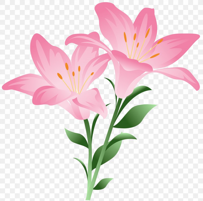 Flower, PNG, 3021x2989px, Lilium Bulbiferum, Alstroemeriaceae, Cut Flowers, Flora, Floral Design Download Free