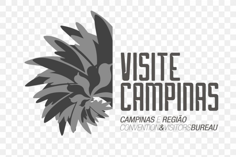 Logo Radisson RED Campinas Font Brand Desktop Wallpaper, PNG, 1047x699px, Logo, Black And White, Brand, Campinas, Computer Download Free