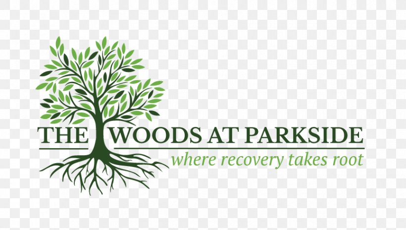 The Woods At Parkside Healing Environments Substance Dependence Hospital Disease, PNG, 864x489px, Healing Environments, Addiction, Alcoholism, Brand, Disease Download Free