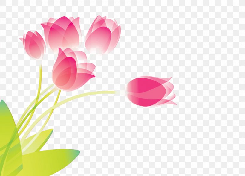 Tulip Flower Red, PNG, 900x646px, Tulip, Collage, Drawing, Floral Design, Flower Download Free