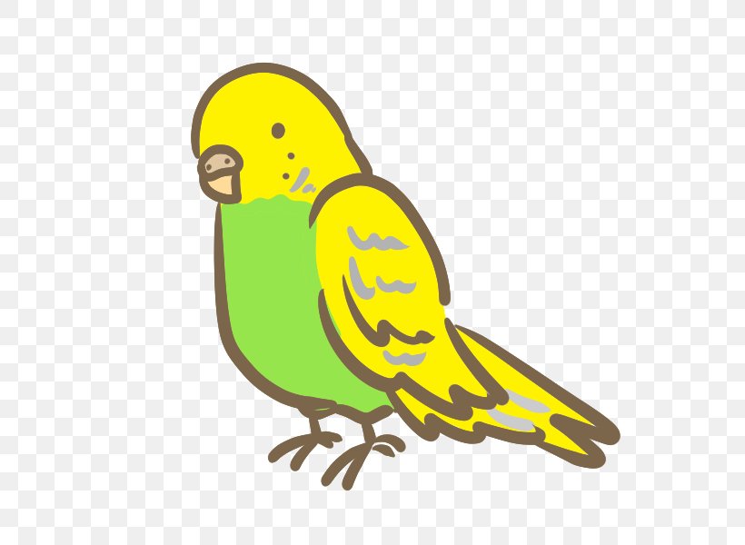 Budgerigar Macaw Bird Parakeet Clip Art, PNG, 600x600px, Budgerigar, Artwork, Beak, Bird, Blue Download Free