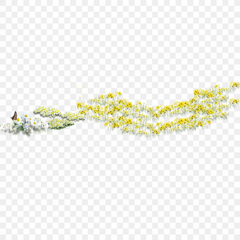 Chrysanthemum Indicum Pattern, PNG, 1181x1181px, Chrysanthemum Indicum, Area, Chrysanthemum, Rectangle, Yellow Download Free