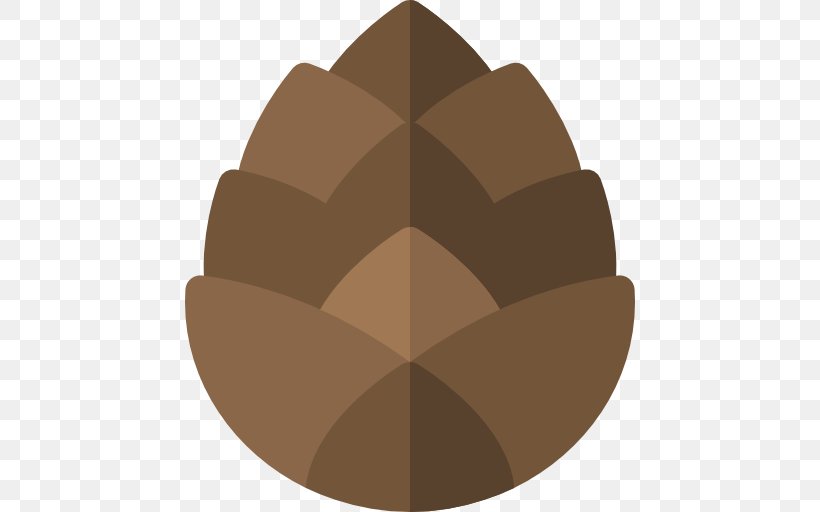 Image, PNG, 512x512px, Conifer Cone, Brown, Cone, Information Download Free