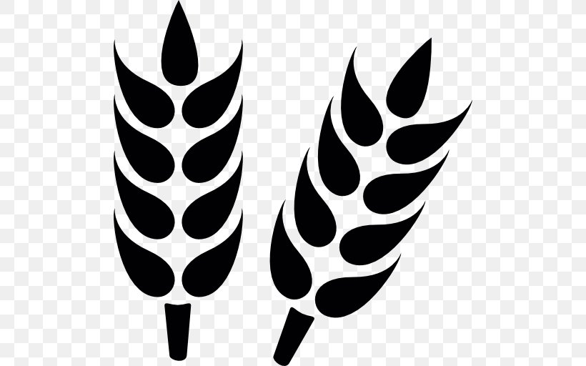 Wheat Cereal, PNG, 512x512px, Wheat, Black And White, Cereal, Ear, Flower Download Free