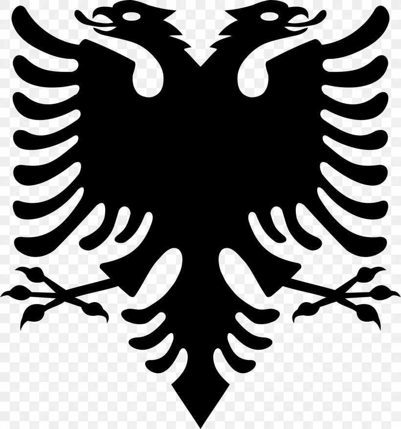 Flag Of Albania Double-headed Eagle Albanian Declaration Of Independence, PNG, 2246x2400px, Albania, Albanian, Beak, Bird, Black And White Download Free