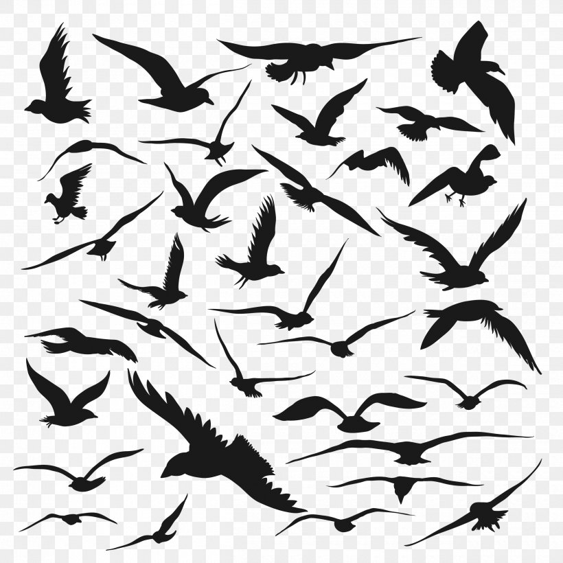 Bird Silhouette Drawing Vector Graphics, PNG, 2500x2500px, Bird, Animal Migration, Bat, Beak, Bird Migration Download Free