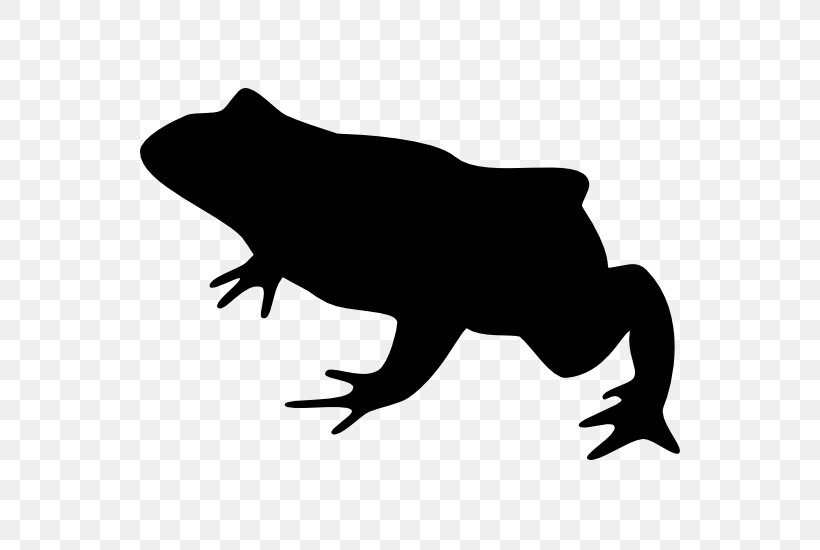 Frog Silhouette Toad, PNG, 550x550px, Frog, Silhouette, Toad Download Free