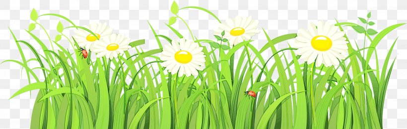 Green Grass Plant Grass Family Flower, PNG, 3787x1207px, Watercolor, Flower, Flowering Plant, Grass, Grass Family Download Free