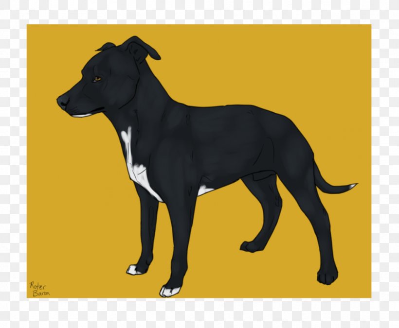 Lurcher Italian Greyhound Dog Breed Puppy, PNG, 985x812px, Lurcher, Breed, Carnivoran, Dog, Dog Breed Download Free