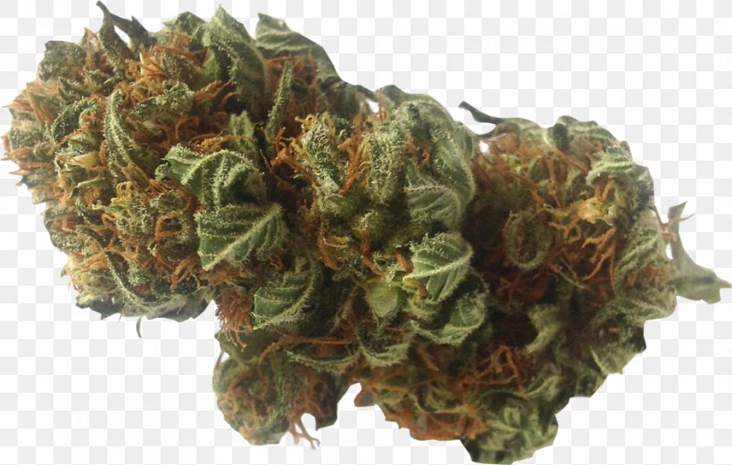 Medical Cannabis Cannabidiol Kush Hemp, PNG, 944x600px, Cannabis, Anxiety Disorder, Cannabidiol, Cannabis Shop, Cannabis Smoking Download Free