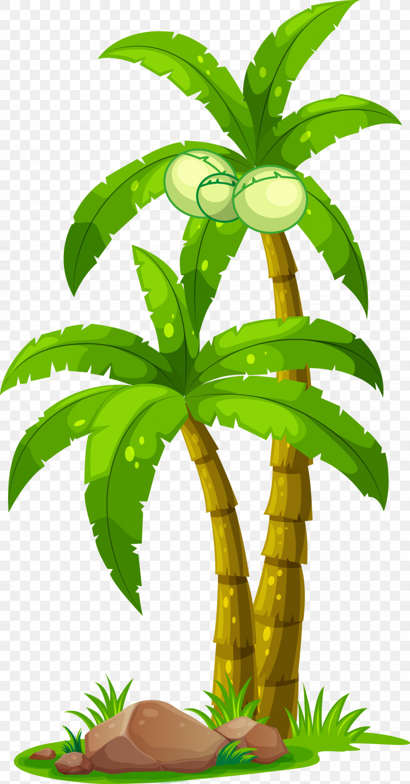 Palm Tree, PNG, 1570x3000px, Leaf, Flower, Houseplant, Palm Tree, Plant Download Free