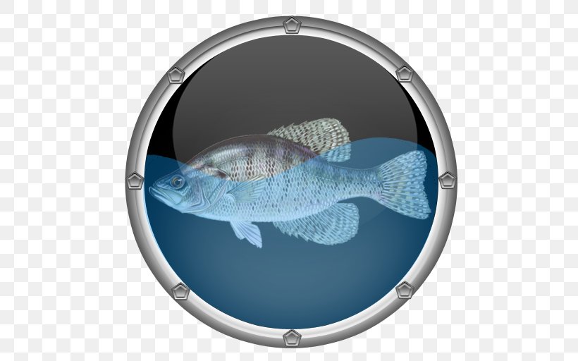Reef Aquarium Tropical Fish Clownfish, PNG, 512x512px, 4k Resolution, Aquarium, App Store, Apple, Clownfish Download Free