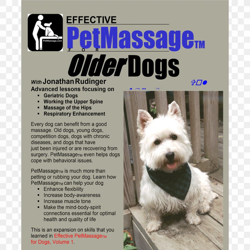 West Highland White Terrier Puppy Canine Massage Dog Breed, PNG, 1225x1225px, West Highland White Terrier, Advertising, Canine Massage, Carnivoran, Companion Dog Download Free