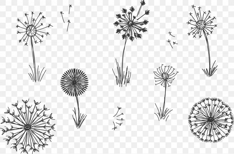 Common Dandelion Plant Euclidean Vector, PNG, 2529x1670px, Flower, Black And White, Dandelion, Flora, Floral Design Download Free