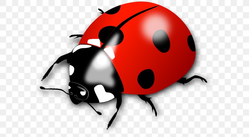 Ladybird Beetle Clip Art Openclipart, PNG, 600x451px, Beetle, Arthropod, Bicycle Helmet, Document, Drawing Download Free