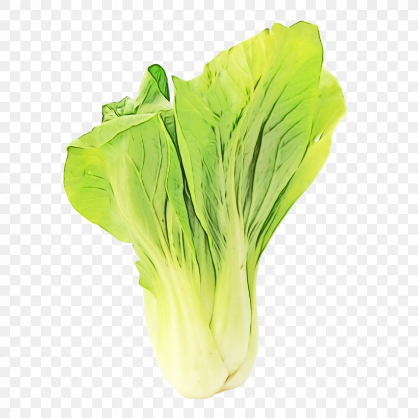 Leaf Background, PNG, 1200x1200px, Romaine Lettuce, Bok Choi, Cabbage, Celtuce, Chard Download Free