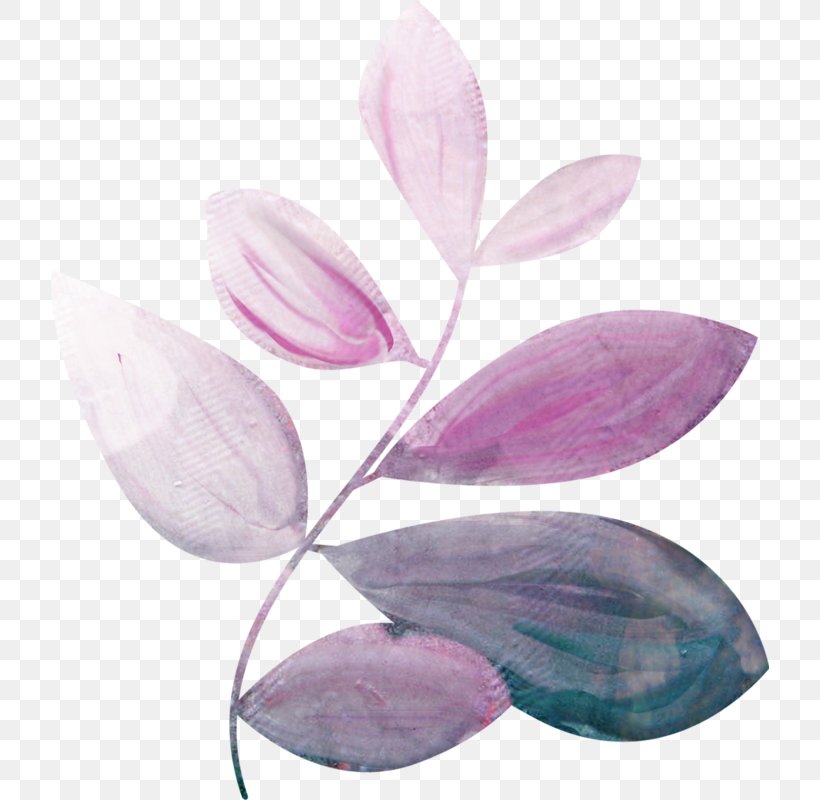 Petal Lilac, PNG, 718x800px, Petal, Flower, Lilac, Plant, Purple Download Free