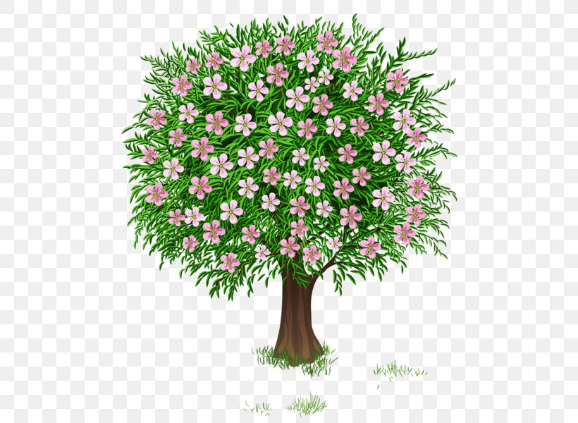 Tree Shrub Clip Art, PNG, 513x600px, Tree, Autumn, Blossom, Branch, Cut Flowers Download Free