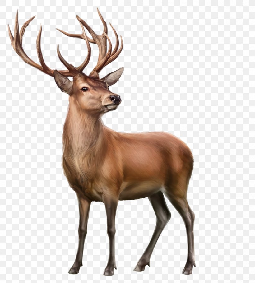 Elk Reindeer Clip Art Animal, PNG, 1153x1280px, Watercolor, Cartoon, Flower, Frame, Heart Download Free