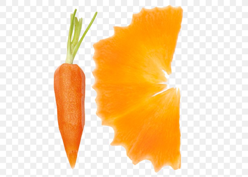 Baby Carrot Gemüseschneider Citrus × Sinensis Vegetable, PNG, 535x587px, Baby Carrot, Carrot, Carteira Escolar, Centimeter, Citrus Sinensis Download Free