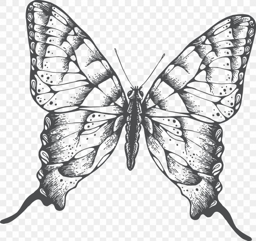 Butterfly Drawing, PNG, 1911x1798px, Butterfly, Art, Arthropod, Black And White, Brush Footed Butterfly Download Free
