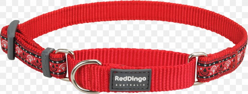 Dingo German Shepherd Dog Collar Martingale, PNG, 3000x1135px, Dingo, Belt, Buckle, Choker, Clothing Download Free