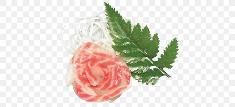 Garden Roses Sashimi Sushi Cut Flowers Centifolia Roses, PNG, 500x374px, Garden Roses, Artificial Flower, Centifolia Roses, Cut Flowers, Floristry Download Free