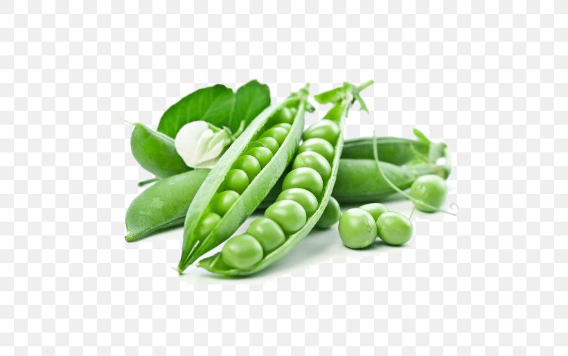 Pea Vegetable Food Legume Fruit, PNG, 514x514px, Pea, Bean, Broad Bean, Commodity, Common Bean Download Free