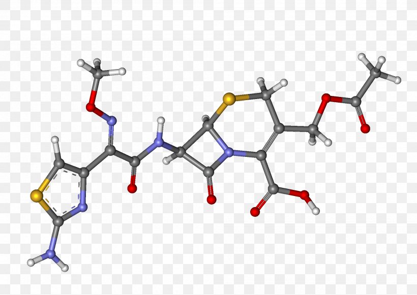 Cephalosporin Wikipedia Ceftriaxone Encyclopedia Cefotaxime, PNG, 2000x1418px, Cephalosporin, Arabic Wikipedia, Area, Body Jewelry, Cefalexin Download Free